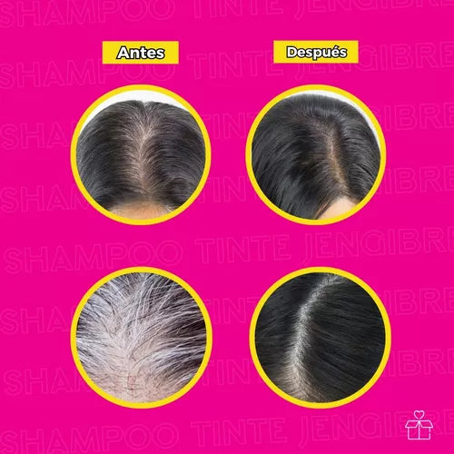 SHAMPOO CON TINTE VEGETAL - PAQUETE DE 10 SOBRES